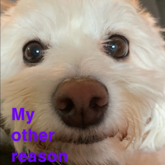 Meet the Posher - Picture 5 of 6